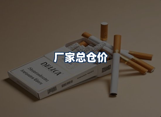 专业团队办公环境